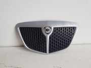 Ziergitter Lancia Ypsilon (843) 735425960