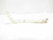 Stoßstangenhalter hinten rechts SUZUKI GRAND VITARA II (JT, TE, TD) 1.9 DDiS 4WD (TD44, JT419, JB419WD)