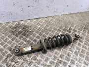 Stoßdämpfer hinten links CITROËN DS7 Crossback 1.5 BlueHDi (JCYHZJ, JCYHZR) 9829356780