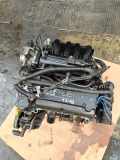 Motor CHEVROLET AVEO Hatchback (T250, T255) 1.2 LPG
