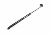 Gasfeder für Motorhaube Lexus RX 3 (L1) 534500W170