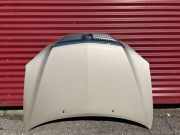 Motorhaube Lexus RX 3 (L1)