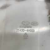 Behälter Kühlwasser Hyundai H-1 Cargo (TQ) 254304H000