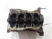 Motorblock Renault Grand Scenic III (JZ) 110101220R