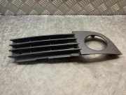 Gitter vorne unten AUDI A6 (4B2, C5) 4.2 quattro 4B0807682AA