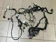 Kabelbaum TOYOTA PROACE Minibus / passenger (MPY_) 1.6 D (MPY2_) 165627 072244