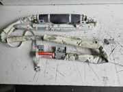 Dach SRS rechts NISSAN X-TRAIL (T31) 2.0 NXNG0073220037 607725500C