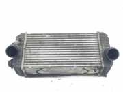 Ladeluftkühler Hyundai Santa Fe III (DM) 282702F700