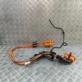 Kabelbaum AUDI Q4 Sportback (F4N) 40 e-tron 1EA971015T