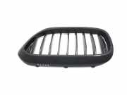 Gitter Grill vorne links BMW 5 (G30) M 550 i xDrive