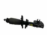 Stoßdämpfer vorne links RENAULT LAGUNA III (BT0/1) 2.0 dCi (BT01, BT09, BT12, BT1S) 1307100032 543020015R