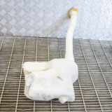 Fensterwaschtank RENAULT MASTER III Furgon (FV) 2.3 dCi 100 FWD (FV0A, FV0B, FV0G, FV0K) 2891000023R