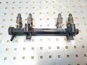 Einspritzleiste Skoda Fabia (6Y) 047133319S