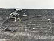 Kabel der vorderen linken Tür RENAULT GRAND SCÉNIC IV (R9_) 1.5 dCi 110 241244003R