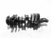 Kurbelwelle RENAULT ESPACE IV (JK0/1_) 3.0 dCi 7701477038