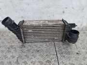 Ladeluftkühler CITROËN C4 Picasso I (UD_) 2.0 HDi 150 R1402004