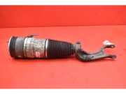 Stoßdämpfersatz Vorderachse Tesla Model S (5YJS) 103060800C