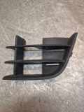 Gitter vorne unten SKODA ROOMSTER Praktik (5J) 1.2 TDI 127361001