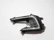 Nebelscheinwerfer vorne rechts VW PASSAT B8 (3G2) 2.0 TDI 4motion 3G0941056A