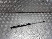 Heckklappe Gasdruckfeder rechts RENAULT LAGUNA III (BT0/1) 2.0 dCi (BT01, BT09, BT12, BT1S) 844300001R