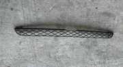 Vorderer oberer Gitter BMW X5 (E70) xDrive 30 d 51117159597