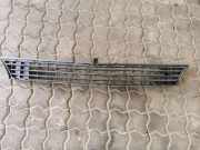 Gitter vorne unten MERCEDES-BENZ B (W245) B 180 CDI (245.207) 210000033