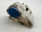 Fensterwaschtank MERCEDES-BENZ A (W169) A 150 (169.031, 169.331) A1698690020