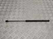 Heckklappe Gasdruckfeder links NISSAN MURANO II (Z51) 3.5 4x4 904511AB0A