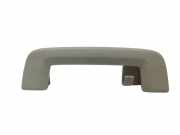 Griff Panoramadach Ford Focus III Turnier (DYB)