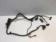 Kabelbaum BMW 2 Coupe (F22, F87) 220 i 19348710