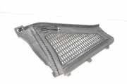 Grill Windlauf BMW X3 (F25) 9184004