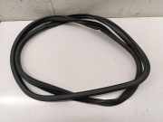 Türgummi rechts vorne Mini Mini Countryman (R60)