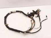 Türverkabelung hinten rechts