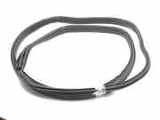 Türgummi rechts vorne BMW i3 (I01)