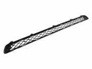 Gitter vorne unten TOYOTA RAV 4 III (_A3_) 2.0 (ZSA35_) 5311242040