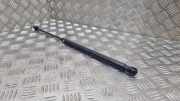 Heckklappe Gasdruckfeder links LAND ROVER RANGE ROVER SPORT (L320) 3.0 D 4x4 5H32402A68AB