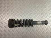 Stoßdämpfer rechts hinten BMW X3 (F25) 6796317