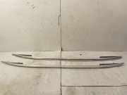 Dachreling links VW Tiguan I (5N)