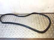 Dichtungsgummi der hinteren Tür (an der Karosserie) VW JETTA III (1K2) 2.0 TDI 16V 5C6867913F