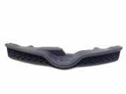 Vorderer oberer Gitter TOYOTA URBAN CRUISER (_P1_) 1.33 (NSP110_) 5311452040