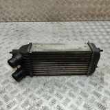 Ladeluftkühler CITROËN JUMPY Furgon 1.6 HDi 90 16V 0384K4