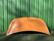 Motorhaube RENAULT MASTER III Furgon (FV) 2.3 dCi 125 FWD (FV0C, FV0D) 651220010R 651001399R