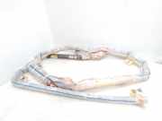 Airbag Dach links Seat Alhambra II (710, 711) 7N0880741