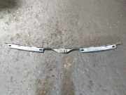 Zierleiste Windschutzscheibe Frontscheibe RENAULT TRAFIC II Furgon (FL) 2.0 dCi 115 (FL01, FL0U) 8200048129