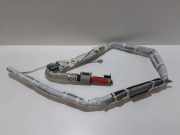 Dach SRS rechts NISSAN X-TRAIL (T31) 2.0 dCi BAMPT11260