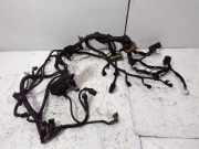 Motor Kabelbaum KIA CARENS III (UN) 2.0 CRDi 115