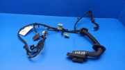 Kabel Tür BMW 7er (E65, E66) 6934010