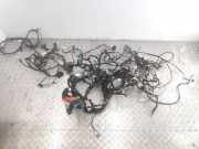 Kabelbaum Renault Captur I (H5, J5) 282436693R