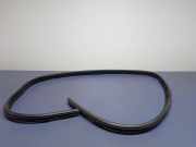 Türgummi links vorne Jaguar XF II (X260) GX6320708A