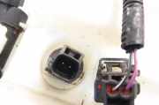 Behälter Scheibenwaschanlage Ford Focus III Turnier (DYB) BV6117B613CA